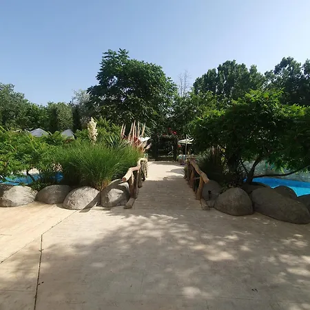 Harmony 11 Grand Sunny Beach