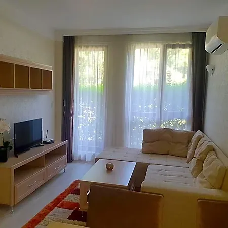 Harmony 11 Grand *